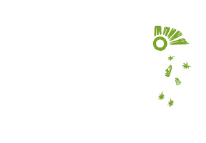 Le Trail Pacific